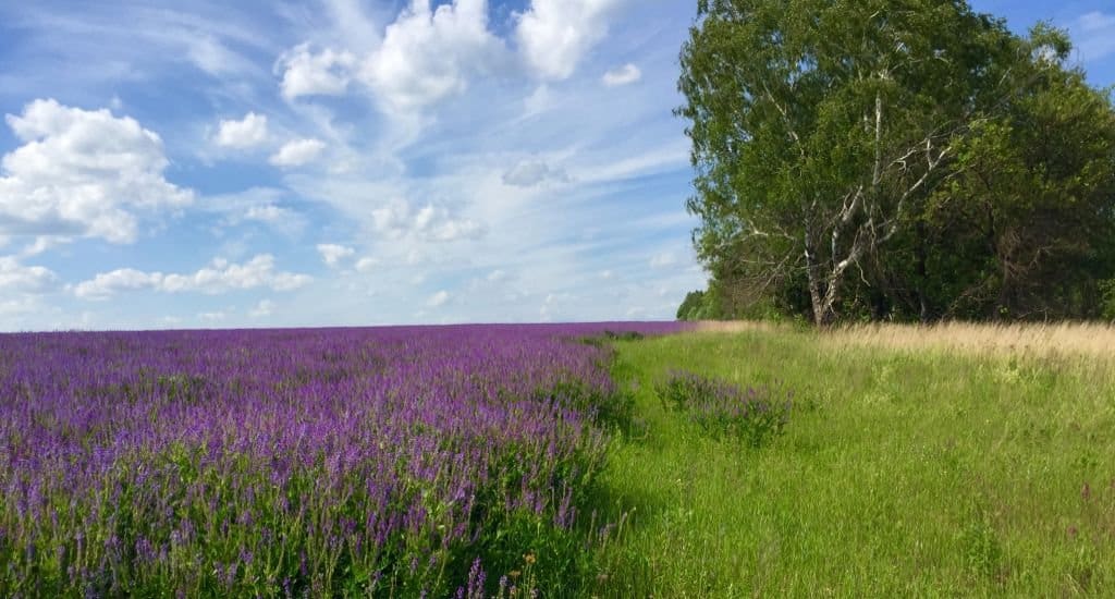 Фотография из личного архива Натальи Лосевой