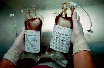 Монахи монастыря святых Царственных Страстотерпцев на Ганиной Яме сдали кровь для больных гемофилией