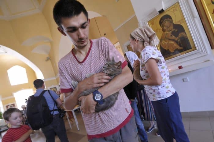 Cats in the church: in the suburbs served an unusual prayer