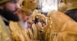 Избраны два новых викарных епископа – Павлово-Посадский и Солнечно-горский