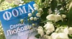 11 июня в Вологде откроется фотовыставка журнала «Фома» с мультимедийным проектом